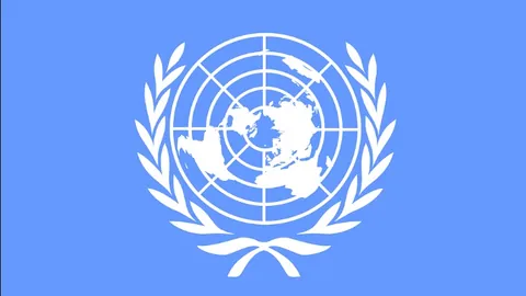 河南队集结备战，王上源国家队归来加入训练